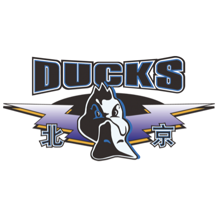 奥达克斯意大利人